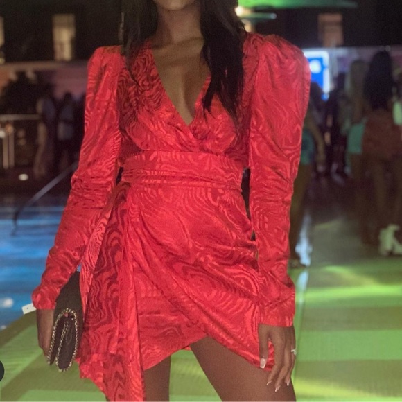 Ronny Kobo LILIAN ZEBRA MOIRÉ MINI DRESS - Picture 4 of 13